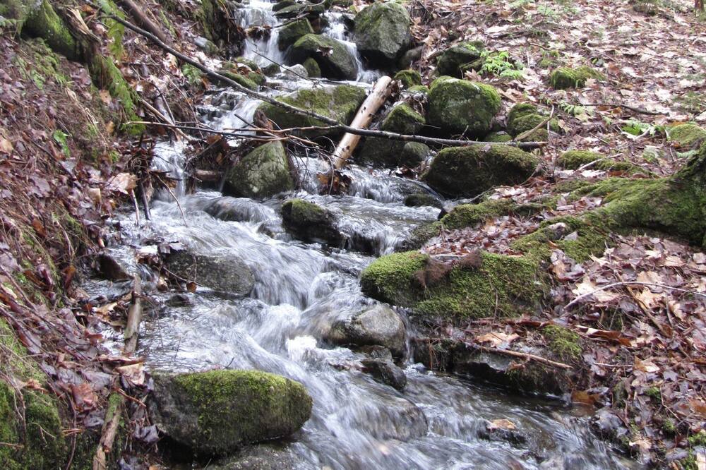 Photo of Others in Woodsville