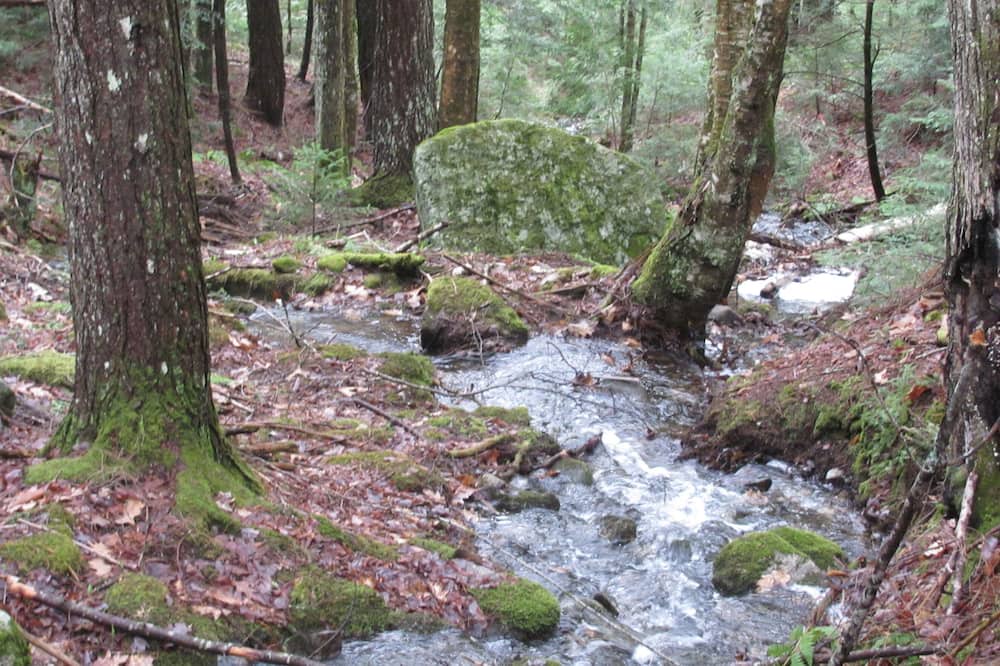Photo of Others in Woodsville