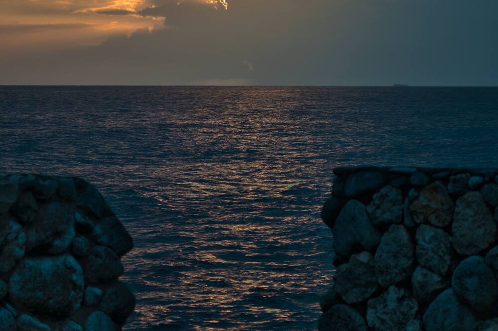 Photo of Others in Little Bay