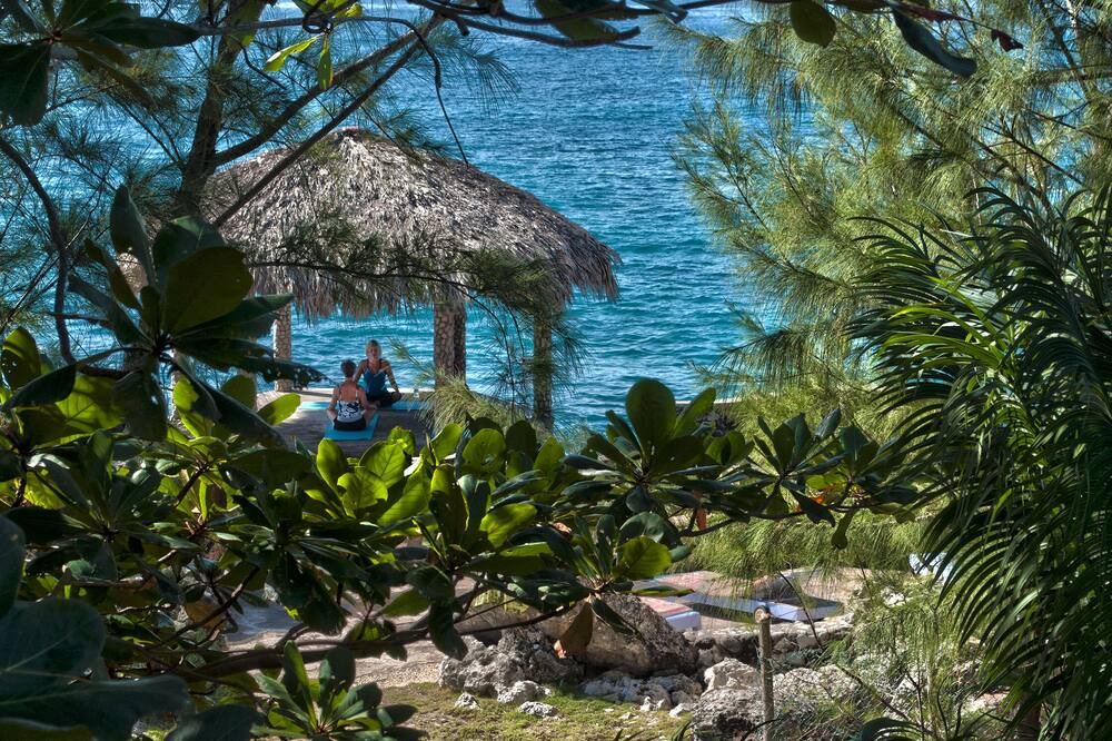 Photo of Outdoor in Little Bay