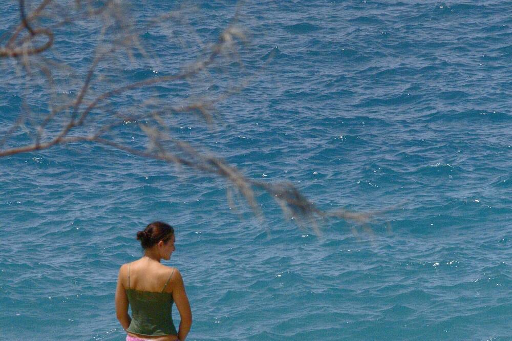 Photo of Others in Little Bay