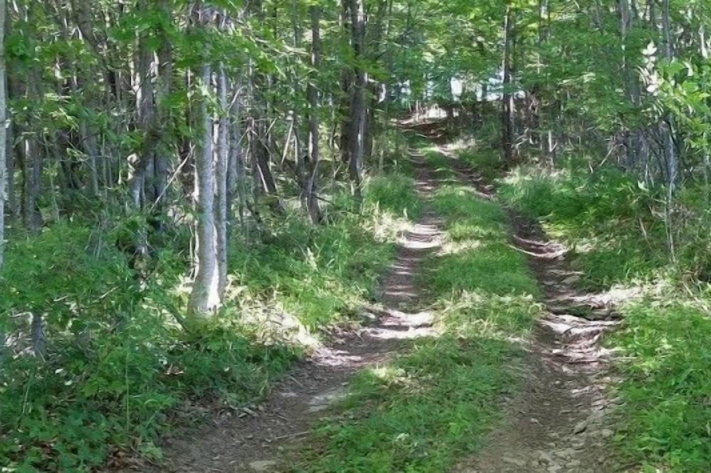 Photo of Outdoor in Aldenville