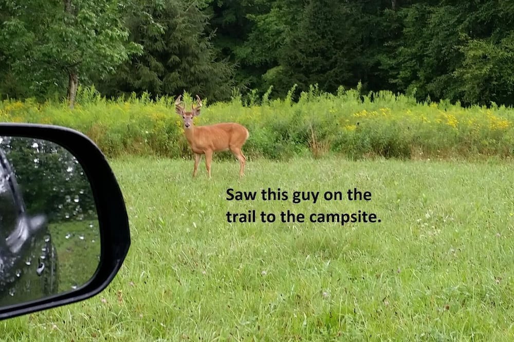 Photo of Others in Aldenville