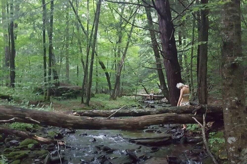 Photo of Others in Livingston Manor