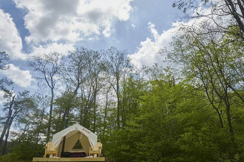 Photo of Others in Livingston Manor