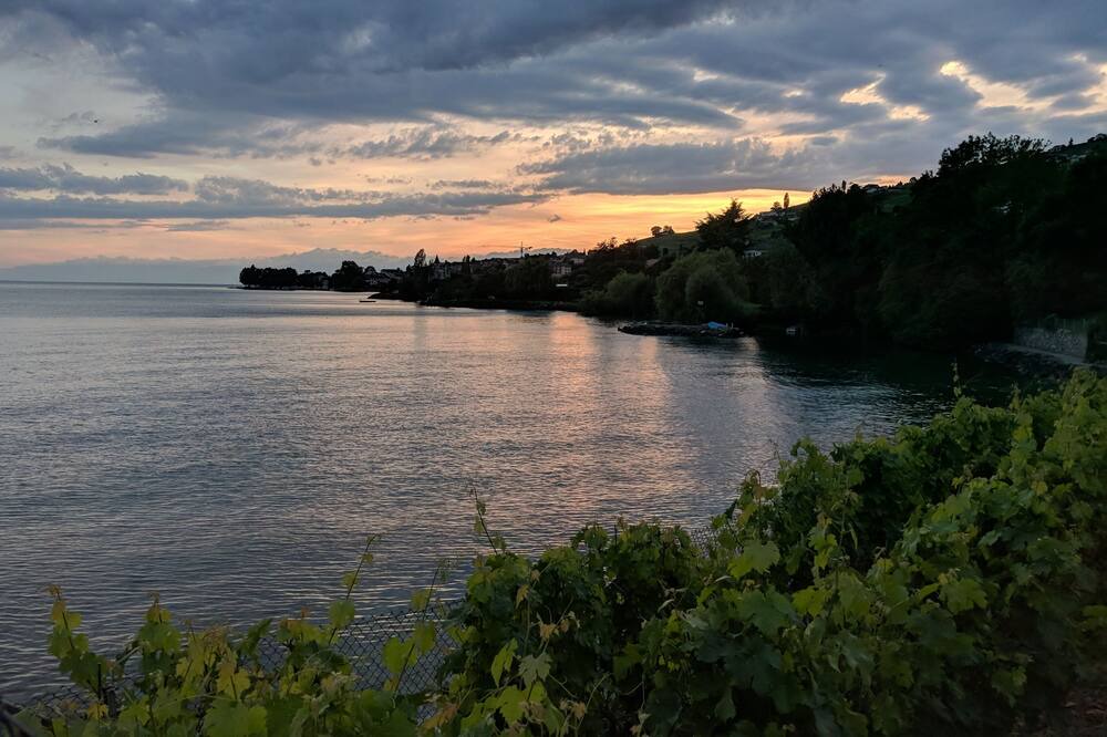 Photo of Others in Bourg-en-Lavaux
