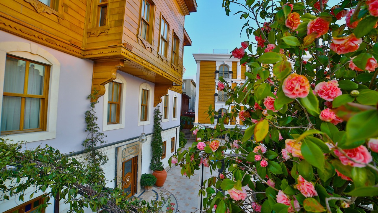 Photo of Outdoor in Sultanahmet