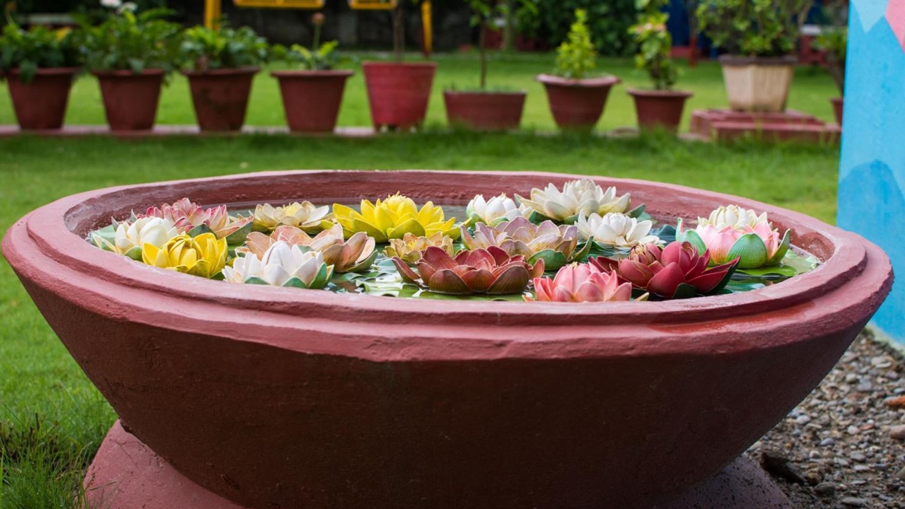 Photo of Outdoor in Siddharthanagar