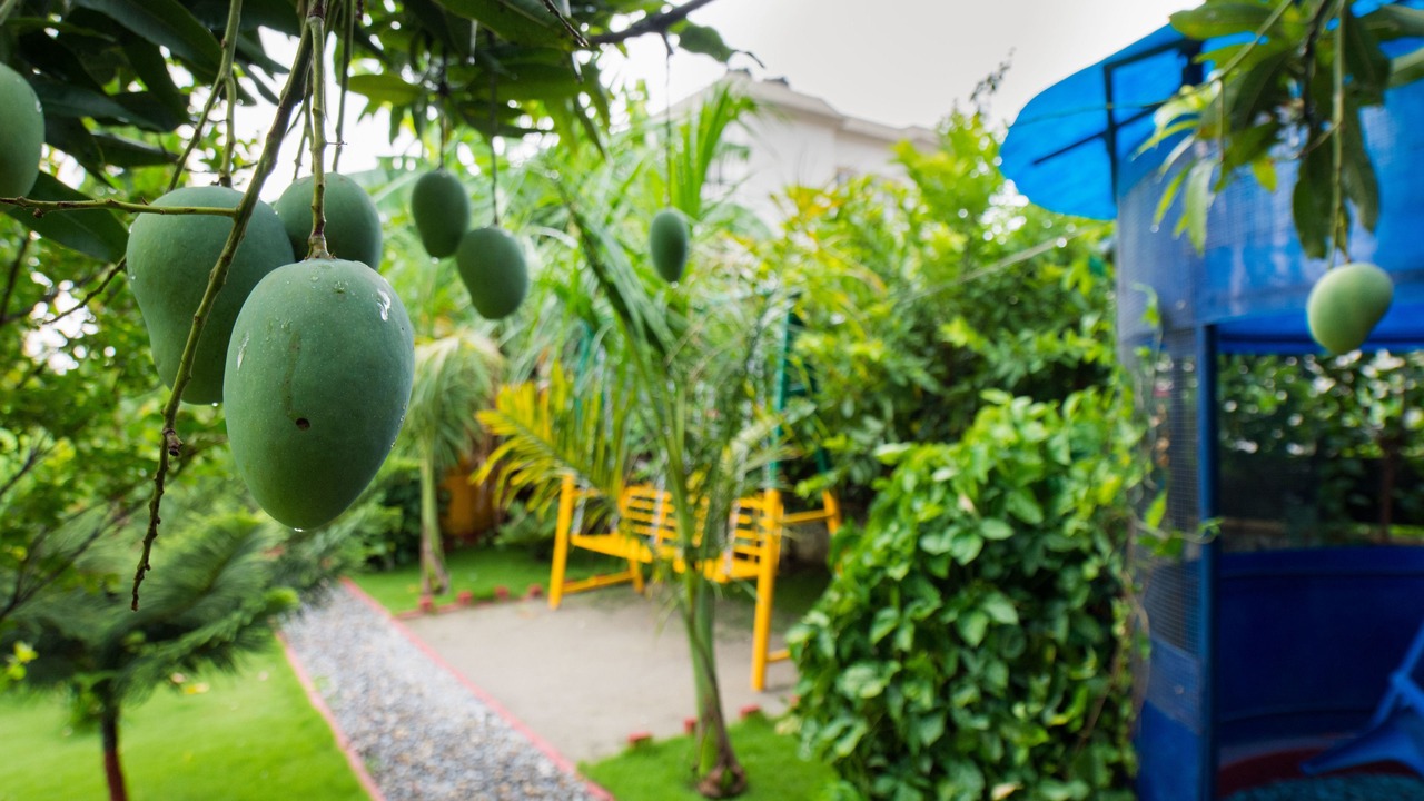 Photo of Outdoor in Siddharthanagar