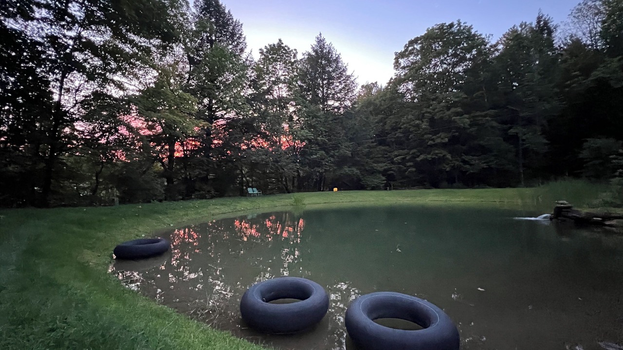 Photo of Others in Woodstock