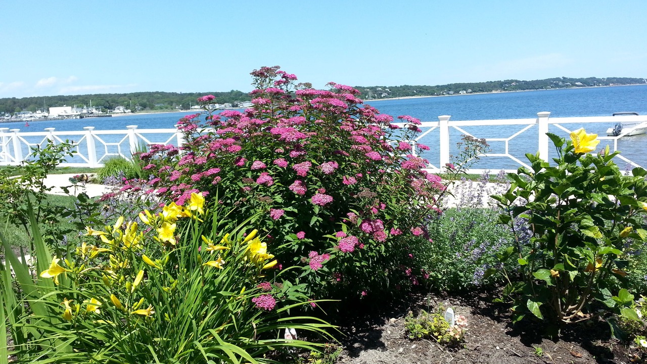Photo of Outdoor in Hampton Bays