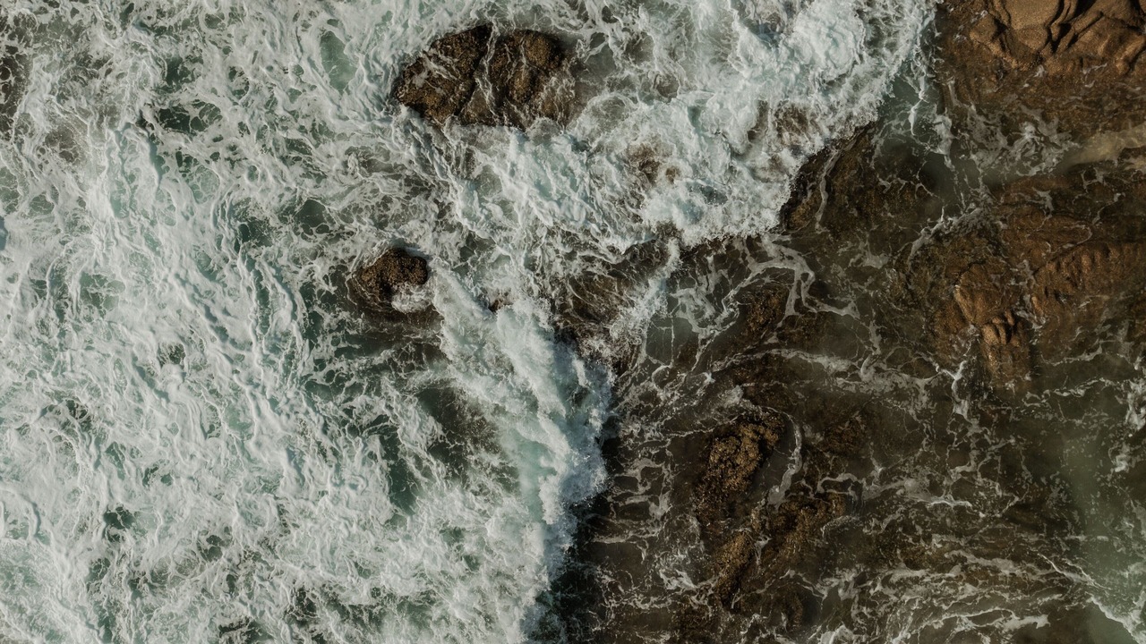 Photo of Others in El Rosarito