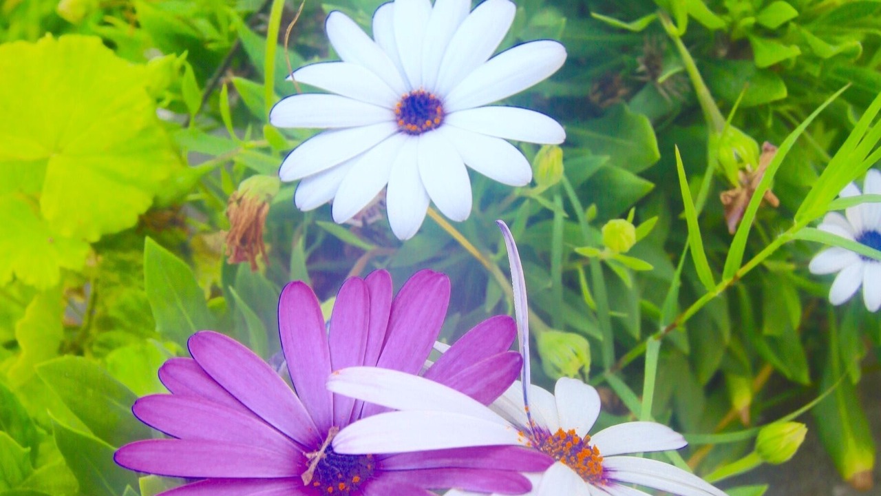 Photo of Outdoor in Cerro Azul