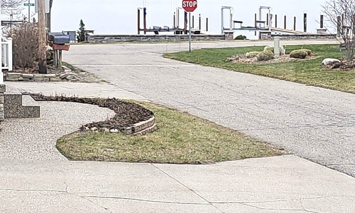 Photo of Others in Spring Lake