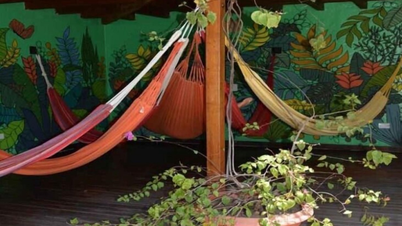 Photo of Patio Balcony in La Florida