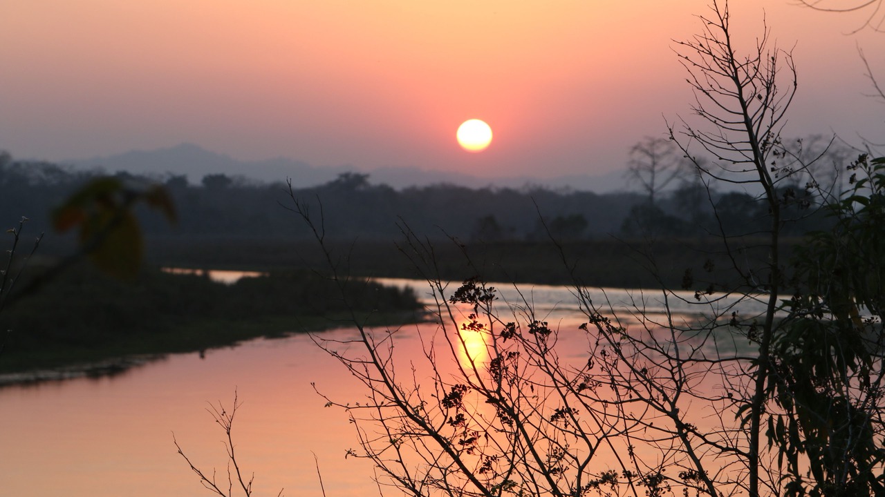 Photo of Others in Bharatpur