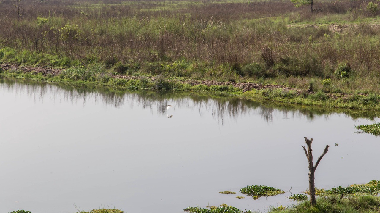 Photo of Outdoor in Bharatpur