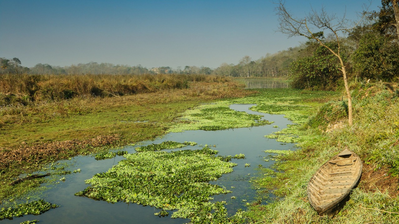 Photo of Outdoor in Bharatpur