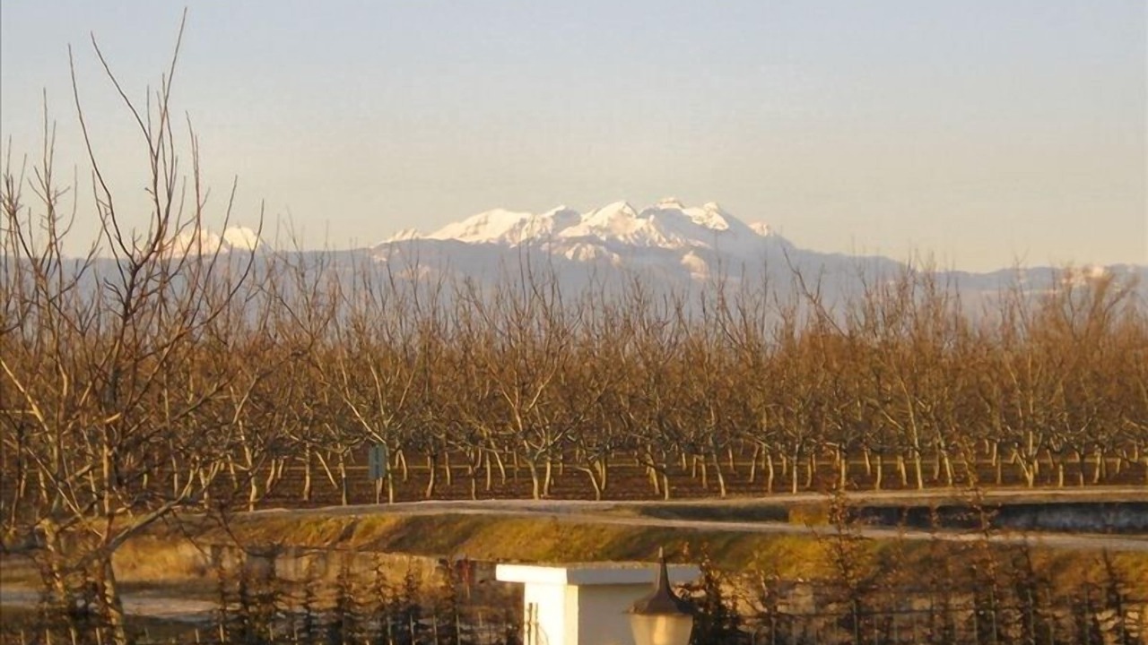 Photo of Outdoor in Cessalto