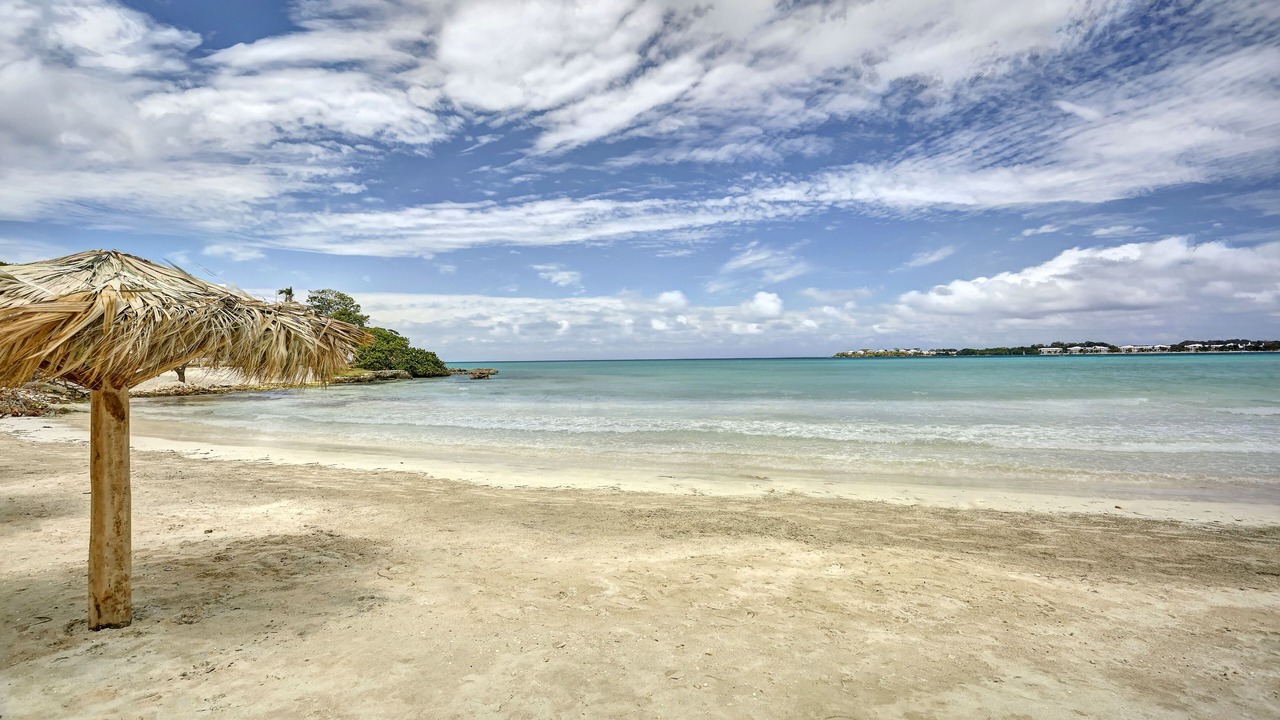Photo of Others in Orange Bay