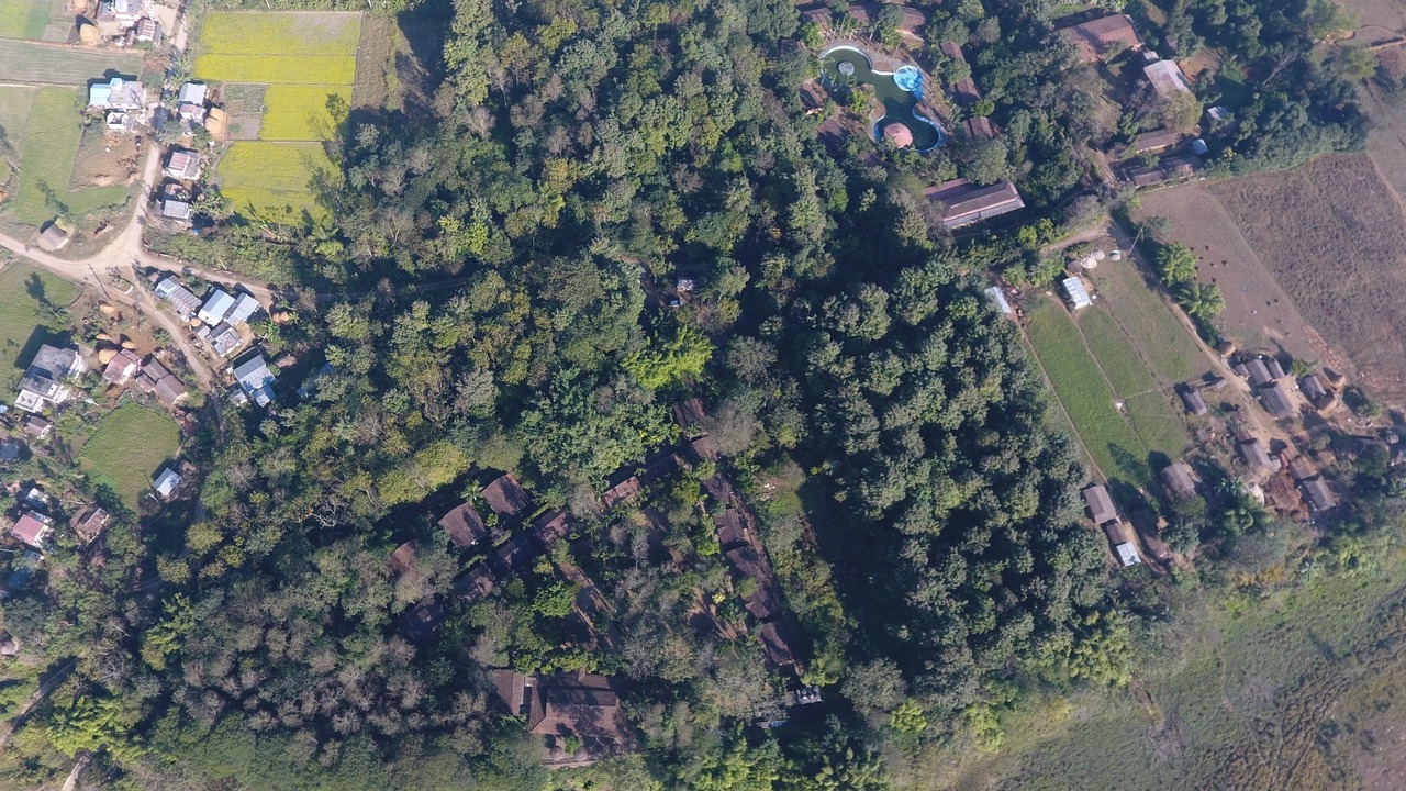 Photo of Outdoor in Bharatpur