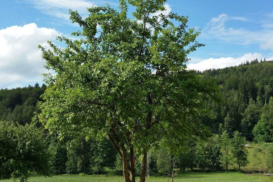 Photo of Outdoor in Poppenhausen