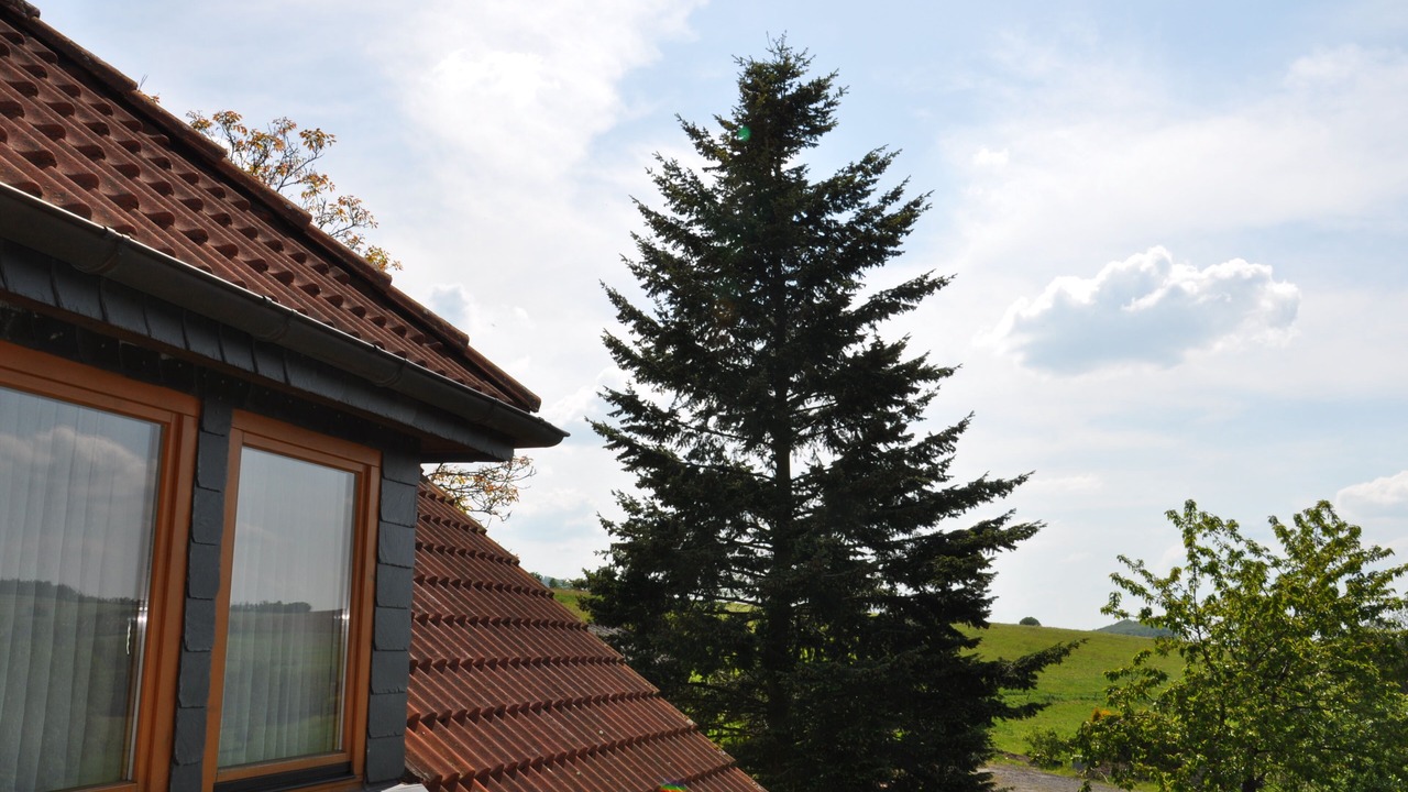 Photo of Bedroom in Poppenhausen