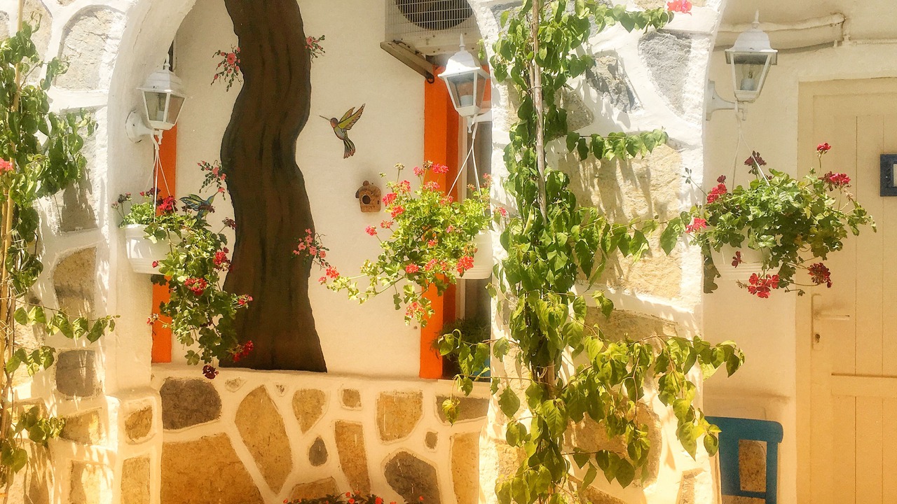 Photo of Outdoor in Bodrum City Center