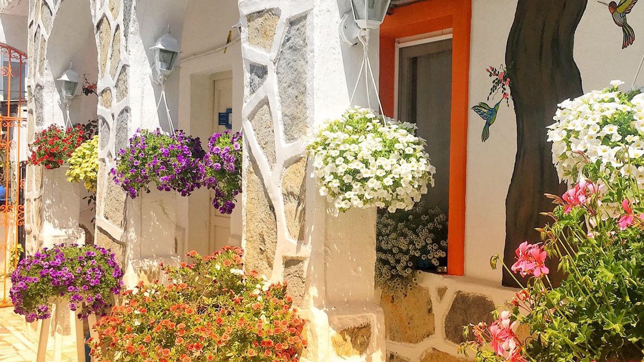 Photo of Outdoor in Bodrum City Center