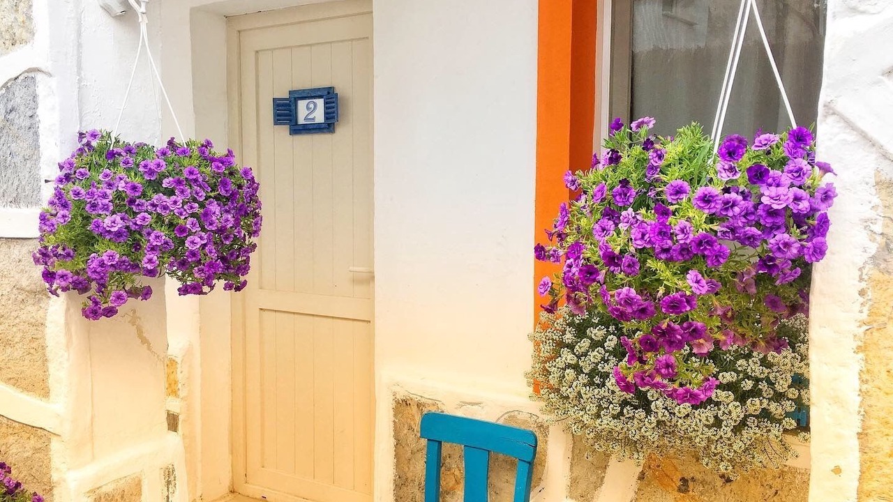 Photo of Outdoor in Bodrum City Center