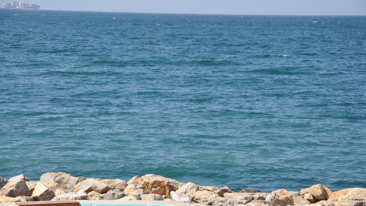 Photo of Others in Zeytinbagi