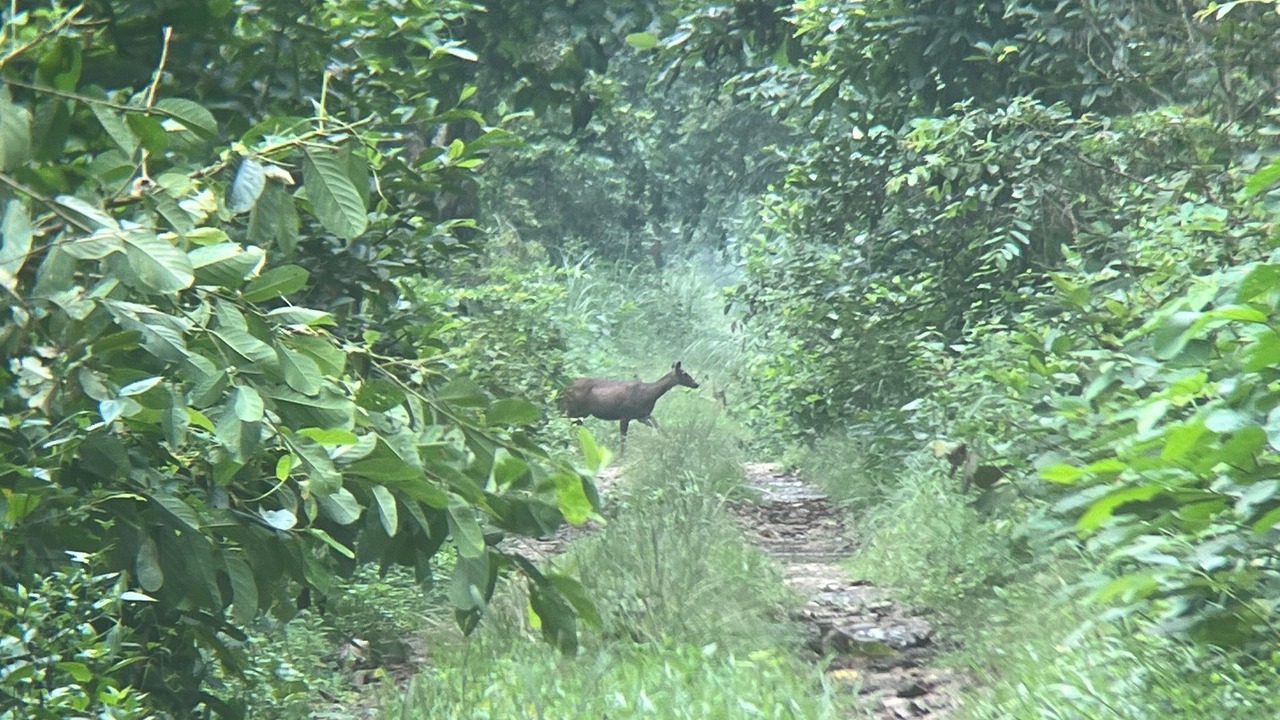 Photo of Others in Bharatpur