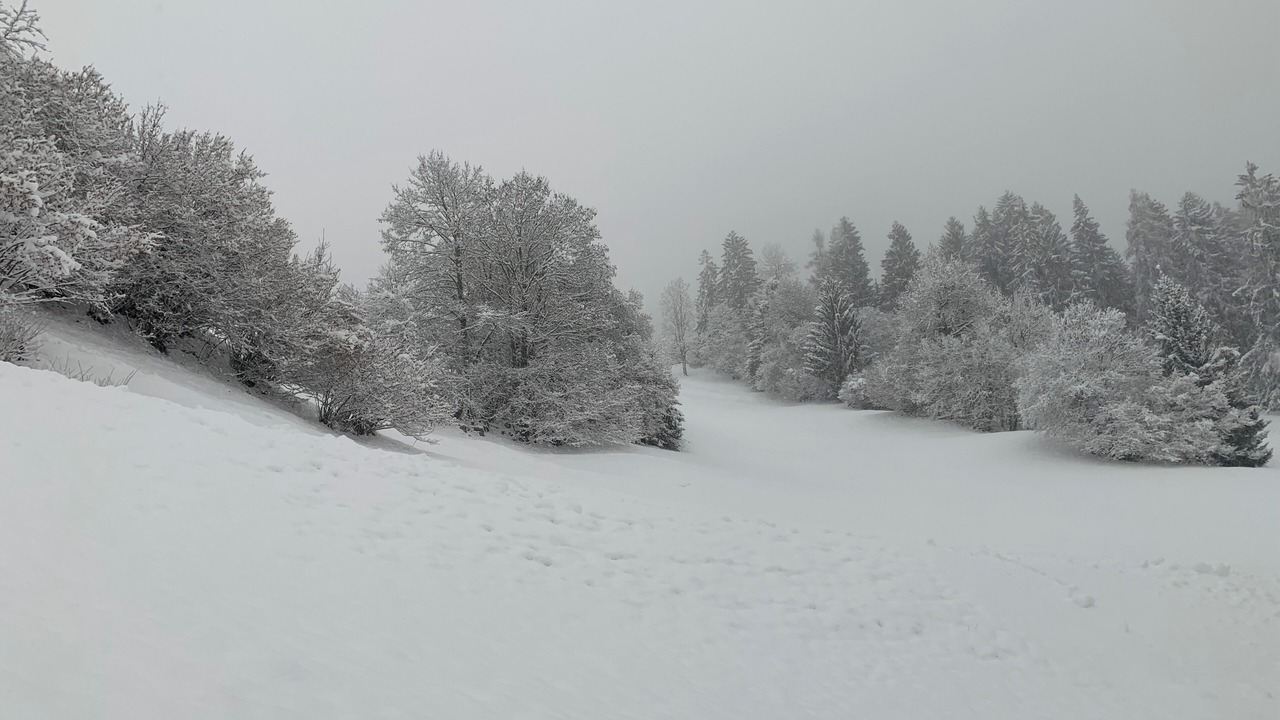 Photo of Others in Ilanz