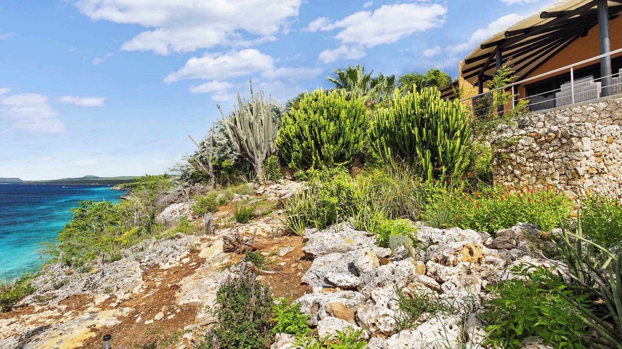 Photo of Outdoor in Sabadeco