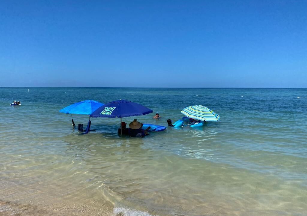 Photo of Others in Puerto Rico