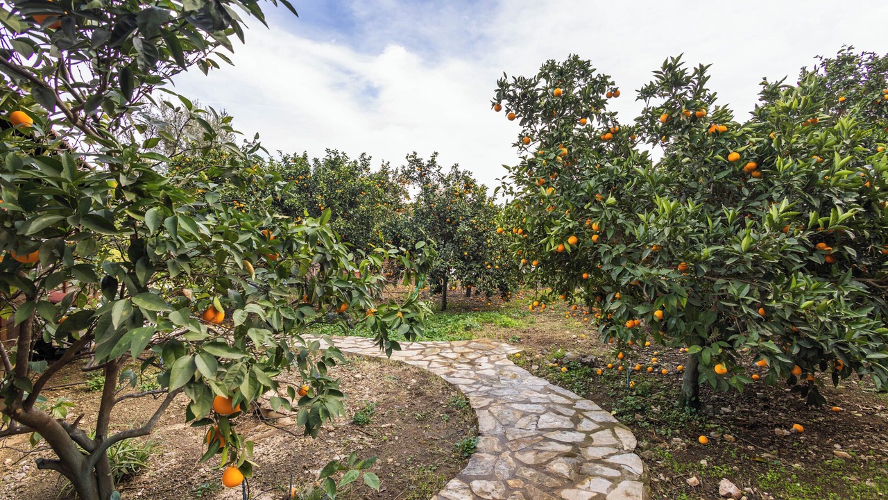 Photo of Outdoor in Cirali