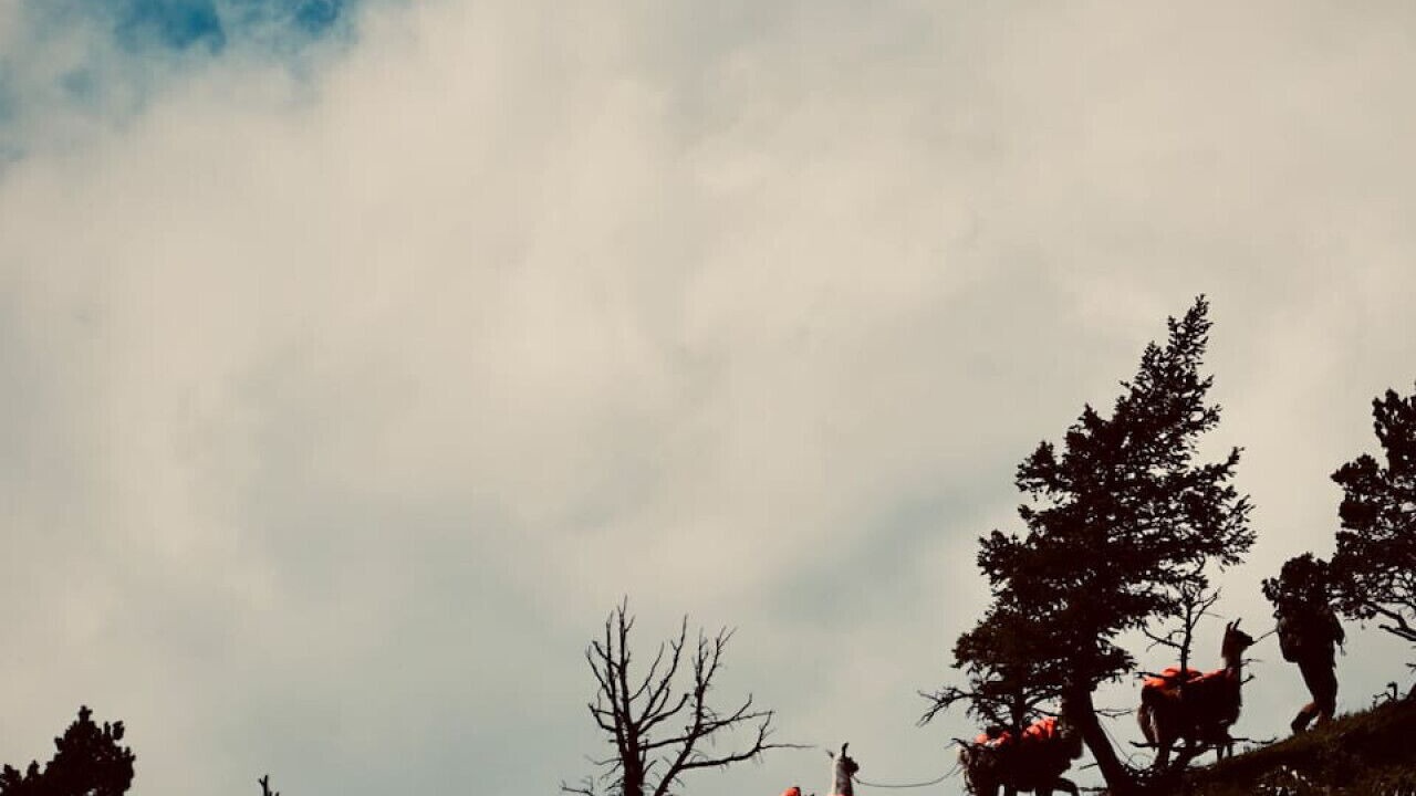 Photo of Others in Calgary