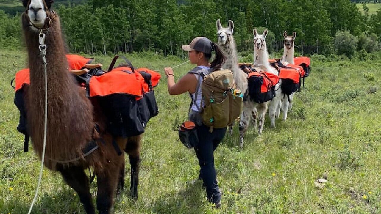 Photo of Others in Calgary