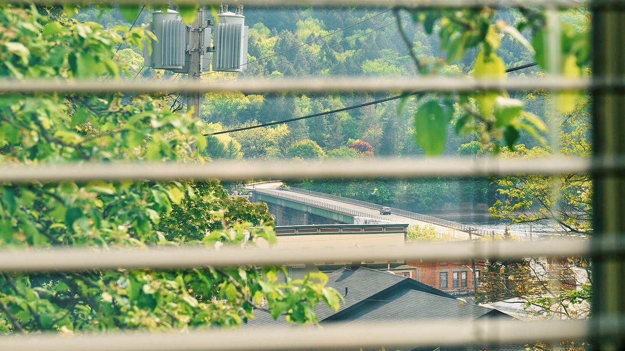 Photo of Others in Callicoon