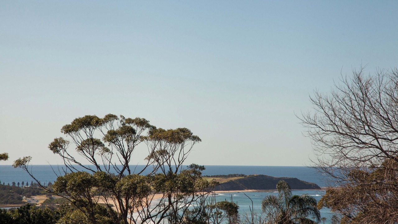 Photo of Others in Dee Why