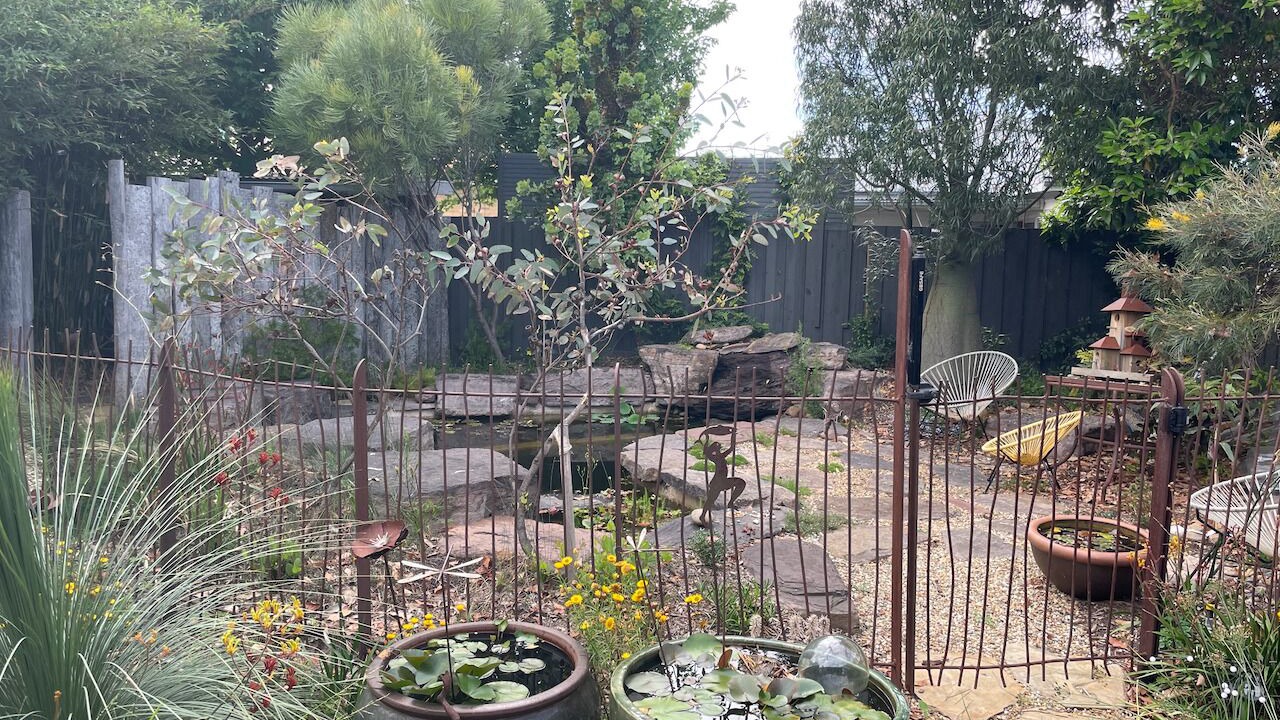Photo of Outdoor in Williamstown