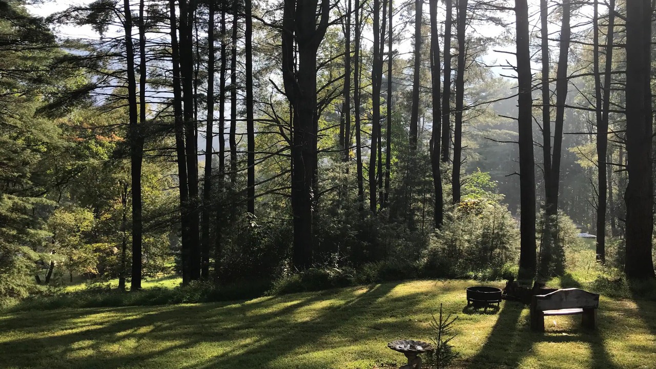 Photo of Outdoor in Cammal