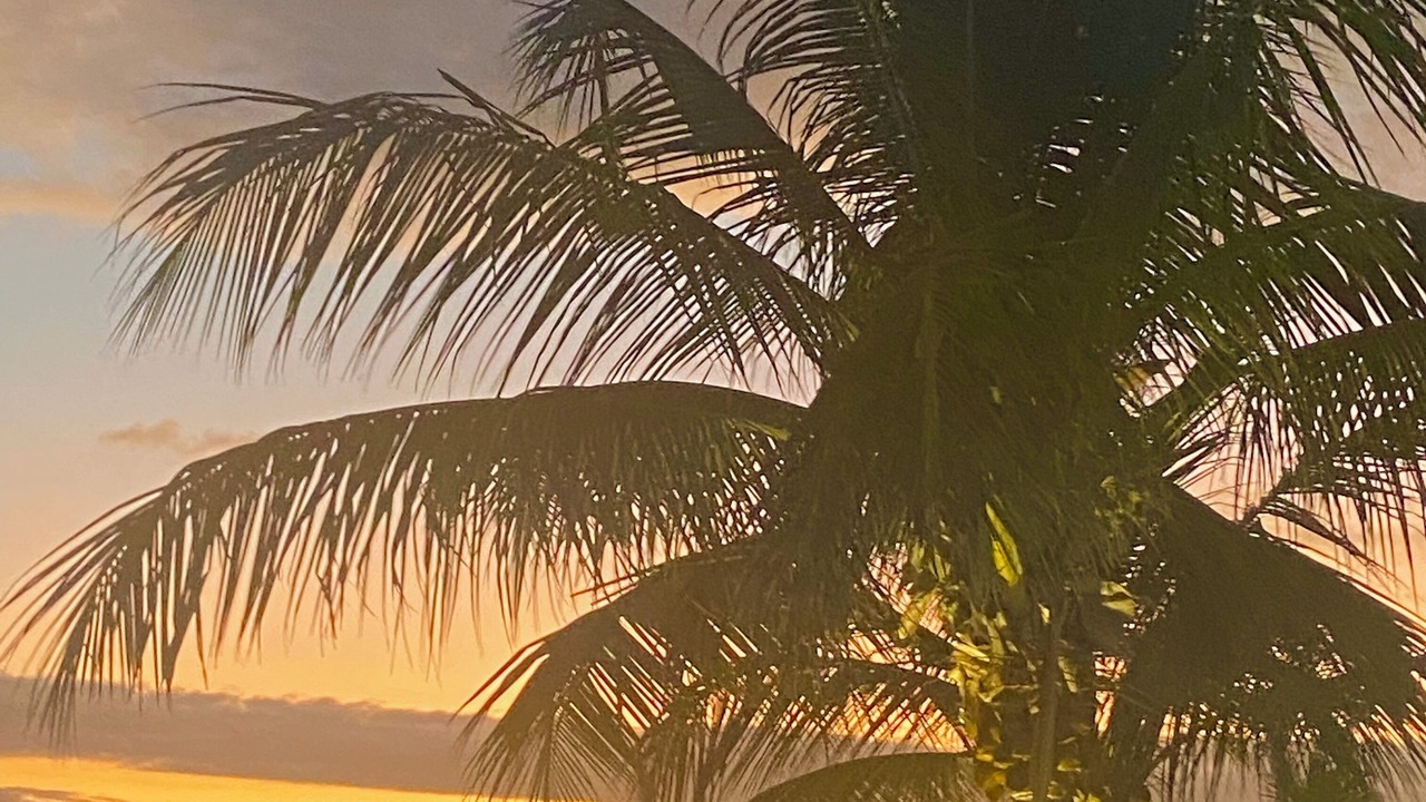 Photo of Others in Simpson Bay