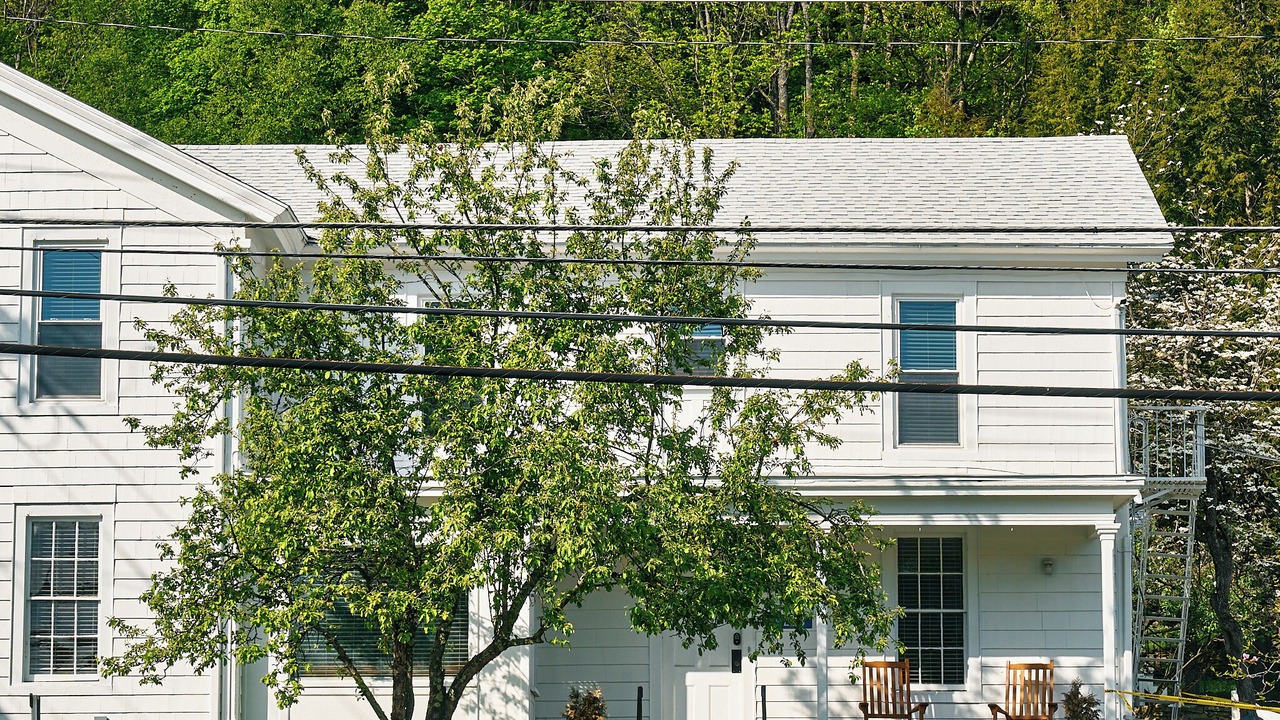 Photo of Outdoor in Callicoon