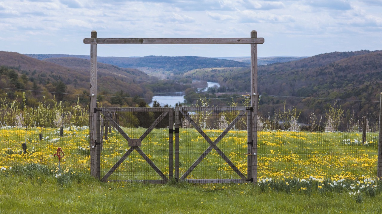 Photo of Outdoor in Callicoon