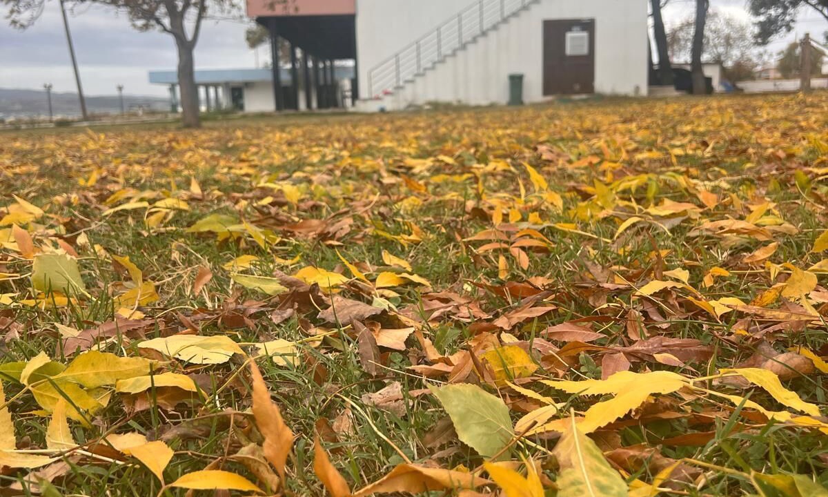 Photo of Outdoor in Lapseki