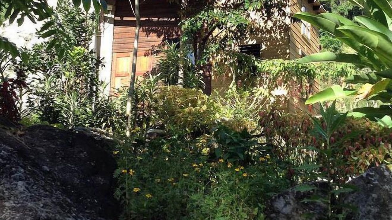 Photo of Outdoor in Newcastle