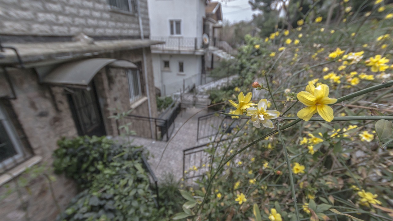 Photo of Others in Adalar