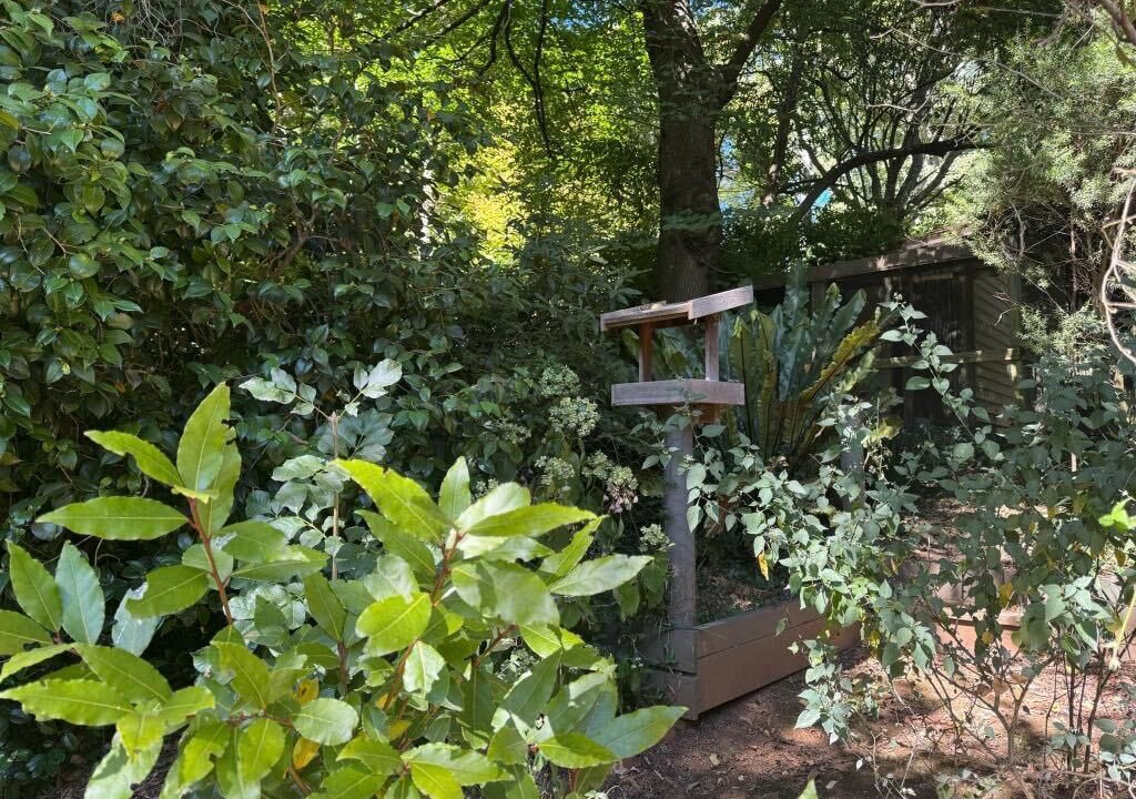 Photo of Outdoor in Mount Dandenong