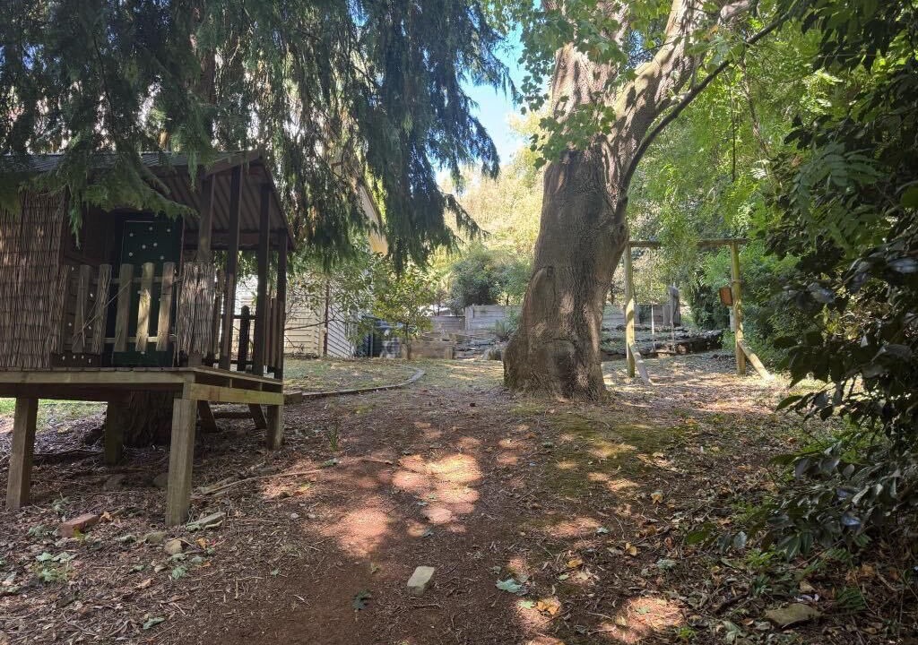 Photo of Outdoor in Mount Dandenong